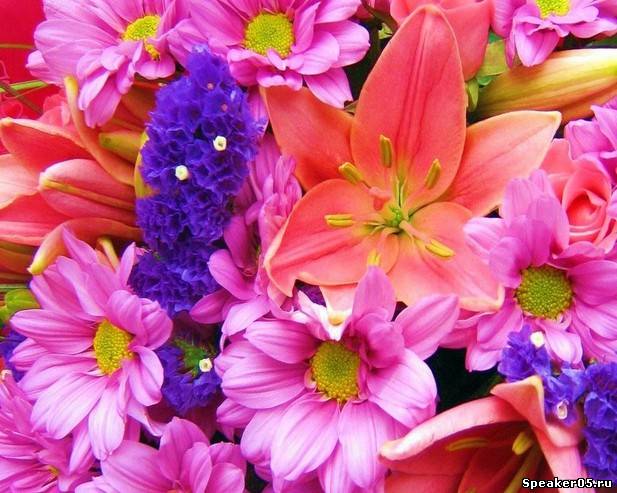 Доставка цветов по Дагестану