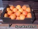Грейпфрут Pomelo из Испании